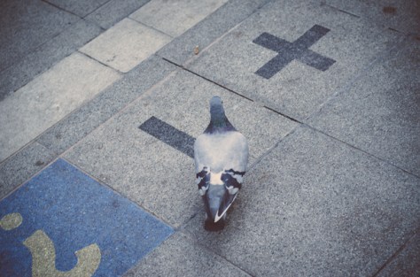 141023_nikon_light_solingen_0018