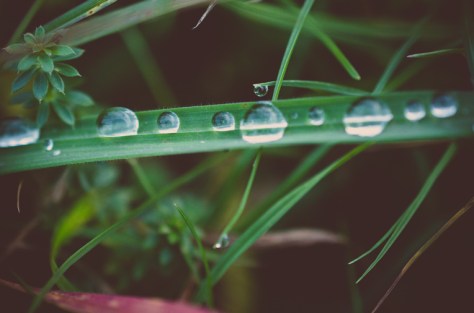 Tag 053 | 07.11.2014 Makro macht verdammt nochmal Spaß!!!