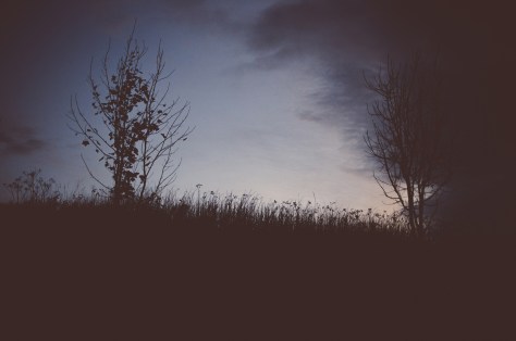 141107_nikon_light_makro_schneckenhaus_0040