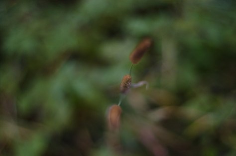 141119_nikon_light_blogbild_0002