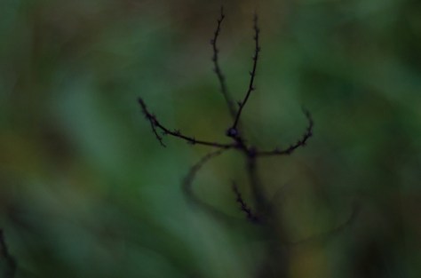 141119_nikon_light_blogbild_0007