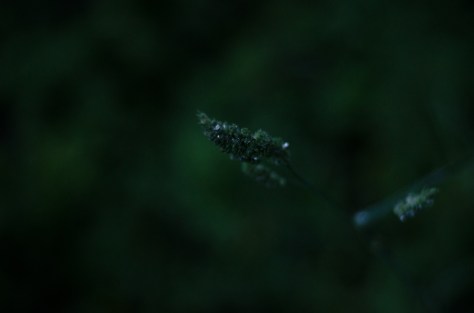 141119_nikon_light_blogbild_0012