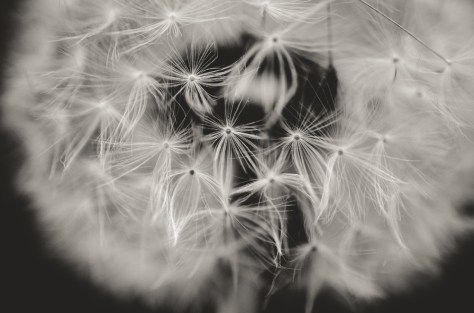 141127_nikon_light_blogbild_0002