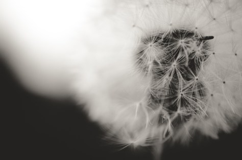 141127_nikon_light_blogbild_0004