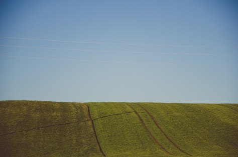 150105_natur_boll_nikon_light_0011